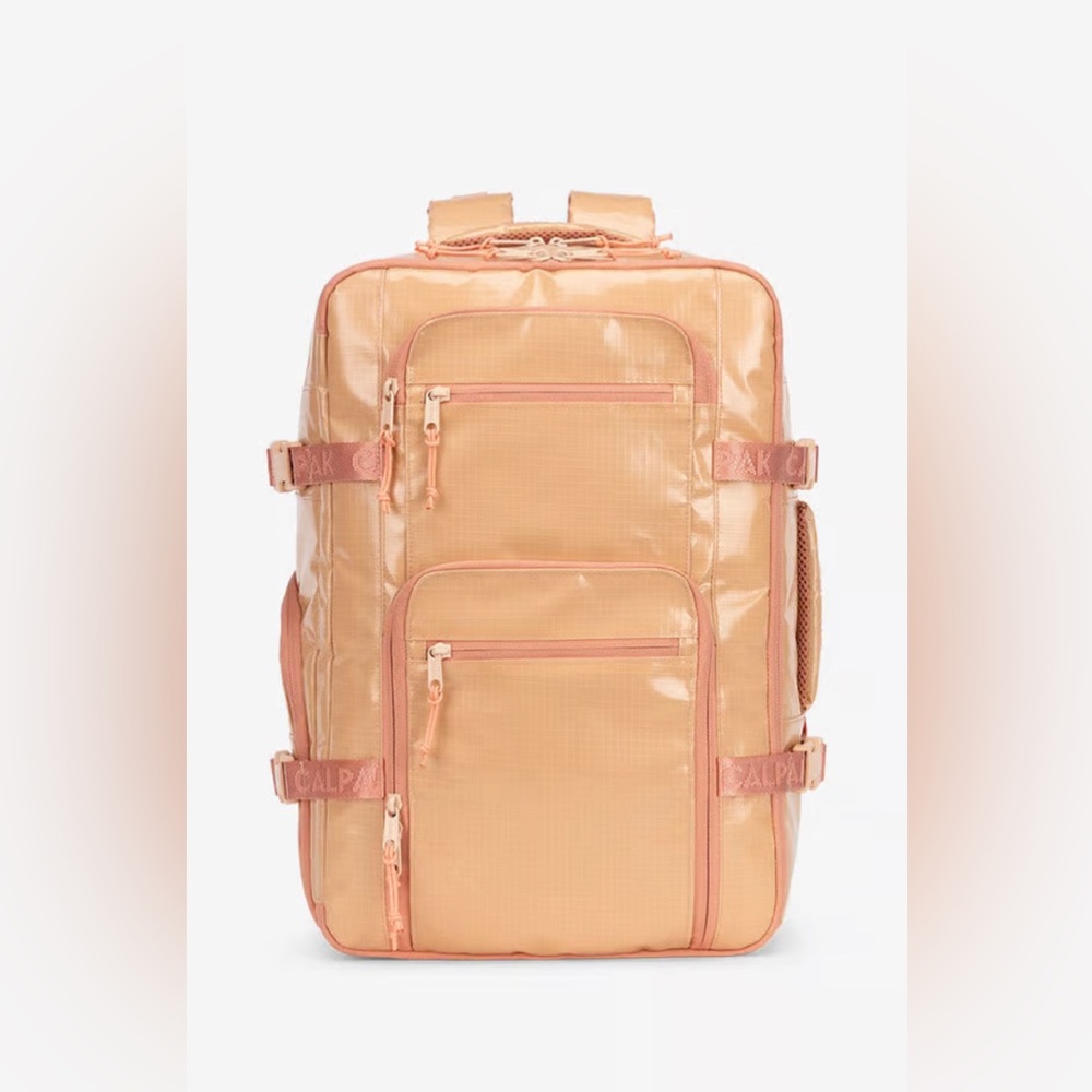 Calpak Laptop Carry-On Backpack